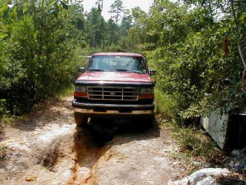 1990 Ford Bronco - 1990 Ford Bronco navigating a rough dirt path surrounded by dense foliage.