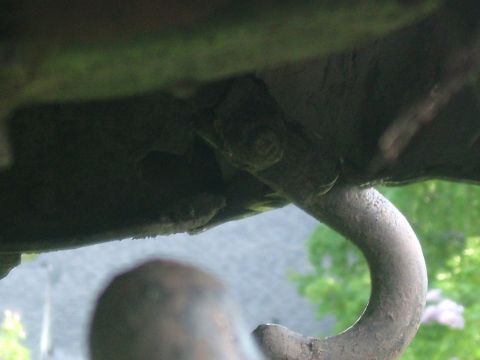 1988 Ford F-150 - Close-up view of the undercarriage and exhaust system of a vehicle.