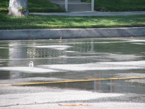 1968 Ford Mustang - A water main break has caused a large puddle to form on the street, reflecting the surrounding environment.