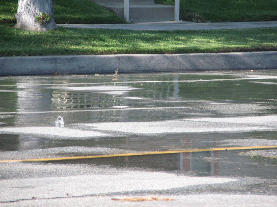 Puddle on asphalt with reflections of a building and a tree. A yellow line is visible on the road