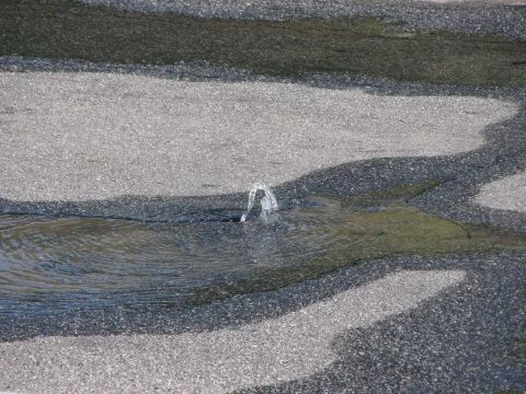 1968 Ford Mustang - A water main break is causing water to spray from a crack in the asphalt, creating a puddle.