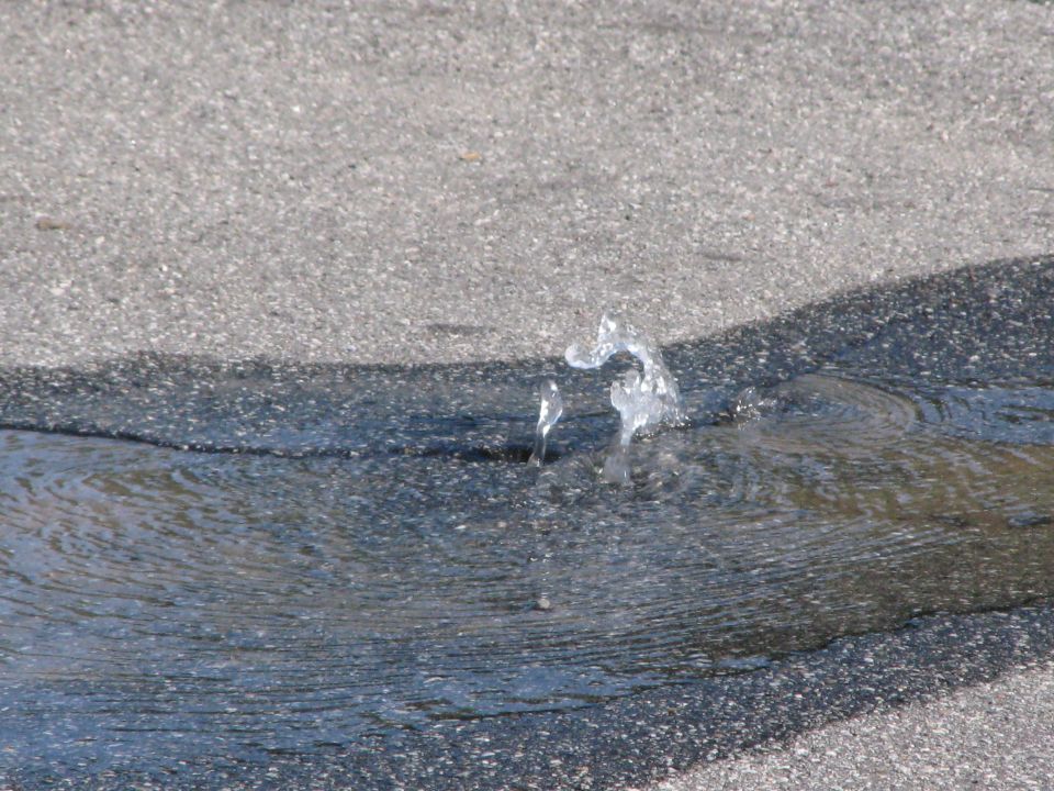 Water spraying from a hole in asphalt pavement