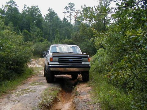 1990 Ford Bronco - A white Ford Bronco navigates a rutted dirt road surrounded by dense foliage and trees.