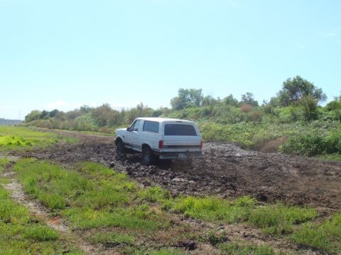1992 Ford Bronco - A white 1992 Ford Bronco navigates a muddy trail under a clear blue sky.