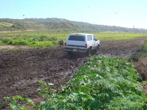1992 Ford Bronco - A white SUV navigates a challenging muddy terrain under a clear blue sky.