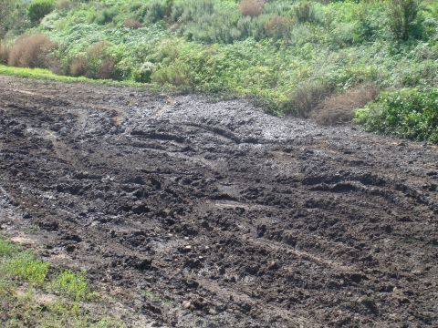 1992 Ford Bronco - Tire tracks mark a path through muddy terrain with green vegetation on the hillside.