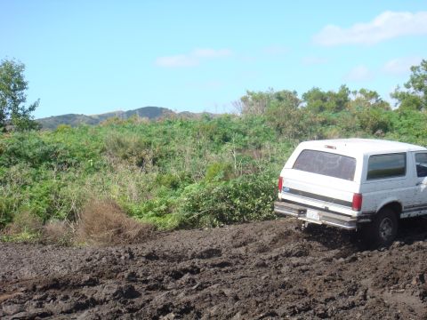 1992 Ford Bronco - A white 1992 Ford Bronco navigates through a muddy, off-road trail under a clear blue sky.
