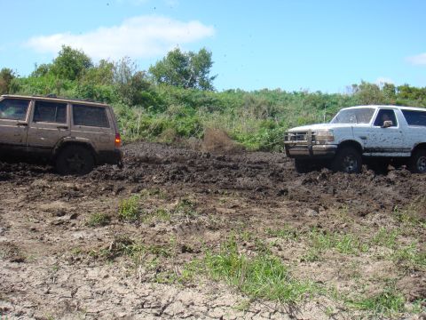 1992 Ford Bronco - Two SUVs, including a 1992 Ford Bronco, are stuck in thick mud during an off-road excursion.