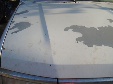 1992 Ford Bronco - Hood of a white vehicle shows significant paint damage and wear.