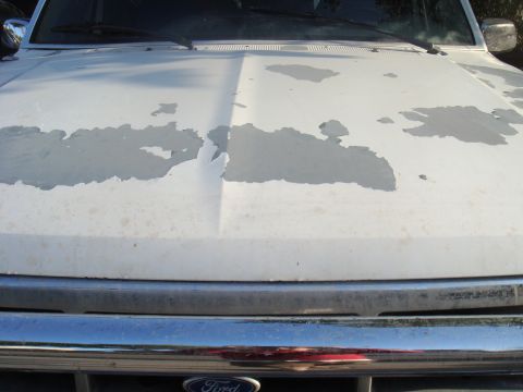 1992 Ford Bronco - The hood of a white Ford truck shows significant paint damage and wear. A chrome grille is visible below.