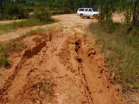 1990 Ford Bronco - A white SUV is stuck in a deep mud rut on a dirt track surrounded by vegetation.