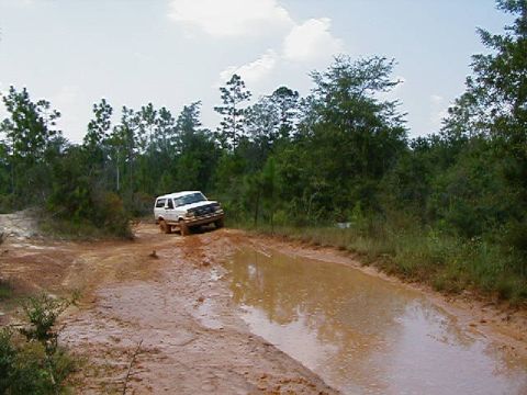 1990 Ford Bronco - A white 1990 Ford Bronco navigates a muddy off-road path with trees and a cloudy sky overhead.