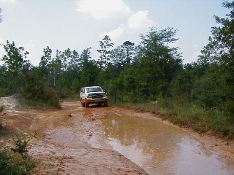 1990 Ford Bronco - White 1990 Ford Bronco navigates a muddy trail with trees and sky in the background.