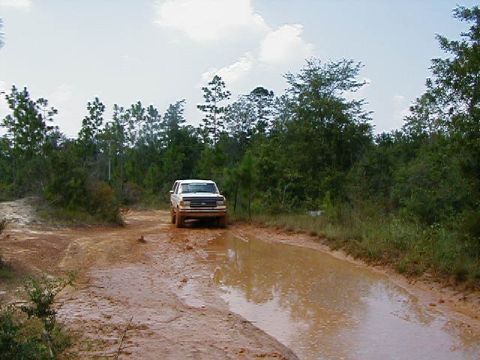 1990 Ford Bronco - Sequenced Pics