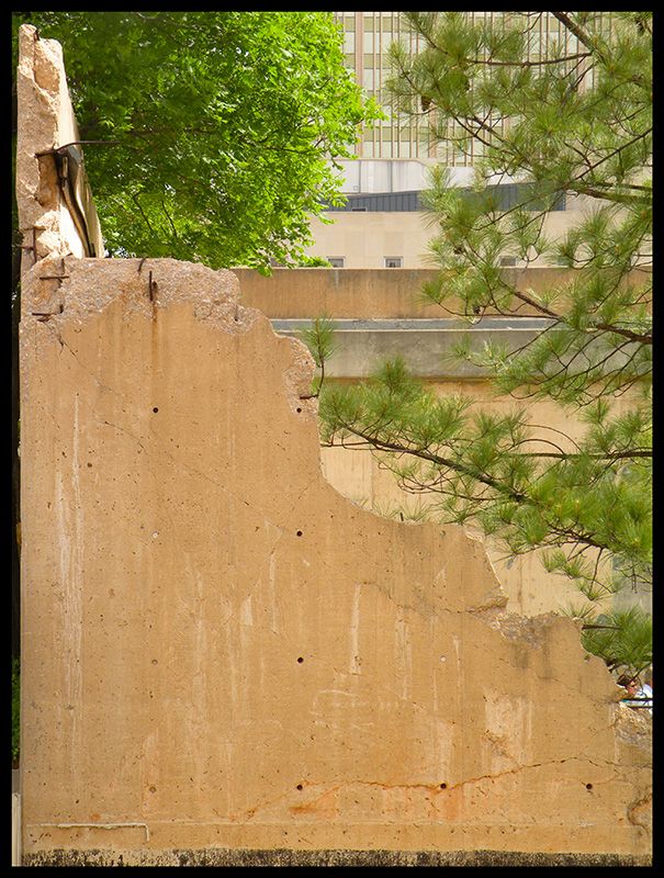 Damaged concrete wall with exposed rebar, green tree leaves, and pine branches in front of buildings