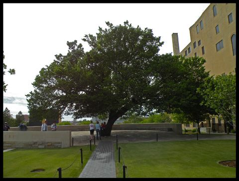 1998 Subaru Legacy - The Oklahoma City Memorial features a large tree and a building in the background.
