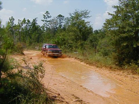 1990 Ford Bronco - A red 1990 Ford Bronco navigates a muddy obstacle on a dirt track surrounded by trees.