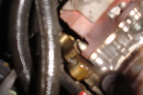 1992 Ford Taurus - A close-up view of a brass fitting connected to hoses within an engine compartment.