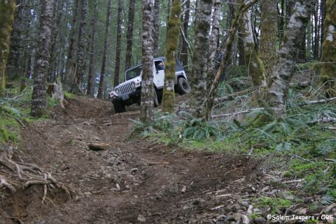 2005 Jeep Wrangler - A white Jeep Wrangler navigates a challenging off-road trail through a dense forest.