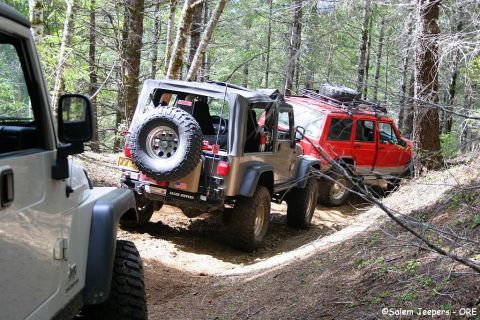 2005 Jeep Wrangler - Multiple Jeeps navigate a narrow, wooded dirt path during an off-road excursion.