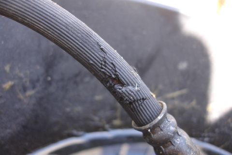 1992 Ford Taurus - A damaged rubber hose shows significant cracking and wear.