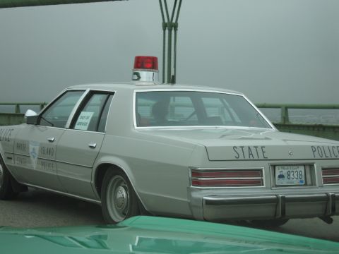 1991 Ford Crown Victoria - A light-colored police sedan with a red light bar on the roof is seen from the rear.