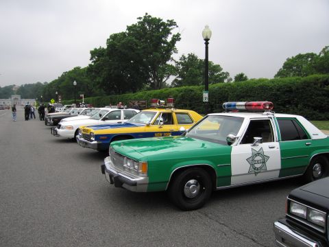 1991 Ford Crown Victoria - A line of police cars, including a green and white sheriff's vehicle, are parked on a street.
