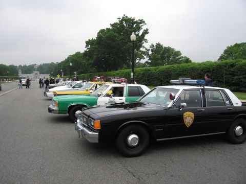 1991 Ford Crown Victoria - A line of police cars, including a black and white Ford Crown Victoria, are parked on a street.