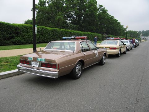 1991 Ford Crown Victoria - A line of park ranger vehicles, including a brown sedan with a light bar, parked on a street.