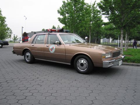 1991 Ford Crown Victoria - This vehicle appears to be a police car, possibly from the 1980s, with a distinctive emblem on the door.