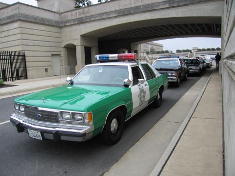 1991 Ford Crown Victoria - A line of police cars, including a green and white vehicle, are parked under an overpass.
