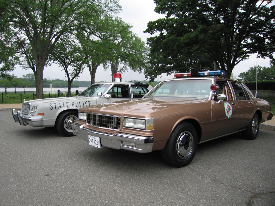 Brown police sedan with door emblem beside silver State Police car at tree-lined waterfront