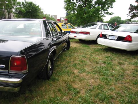 1991 Ford Crown Victoria - Multiple Ford Crown Victoria police cars are parked on a grassy area.