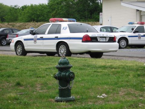 1991 Ford Crown Victoria - A K9 unit police car is parked alongside another police vehicle, with a green fire hydrant in the foreground.