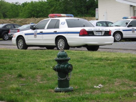 1991 Ford Crown Victoria - A white Park Police car with a K9 designation is parked next to a green fire hydrant, with another police car visible in the background.