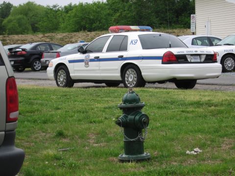 1991 Ford Crown Victoria - A 1991 Ford Crown Victoria police car, marked K9, is parked in a lot with other vehicles.