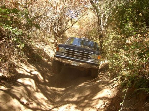 1989 Ford Bronco - another TTB sucks picture