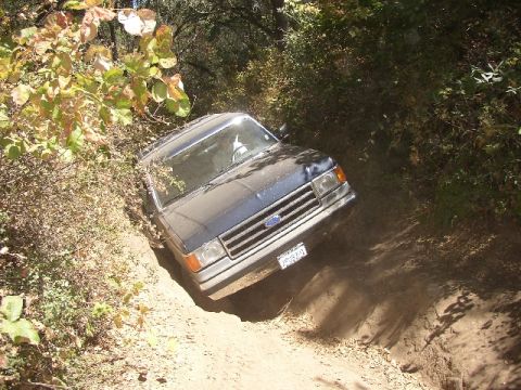 1989 Ford Bronco - This Ford Bronco is navigating a challenging dirt path surrounded by trees and foliage.