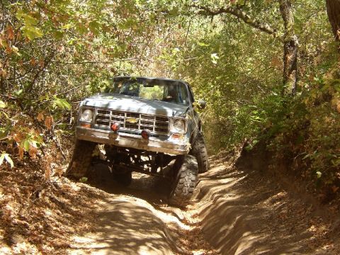 1989 Ford Bronco - A lifted off-road truck navigates a narrow dirt path surrounded by trees.