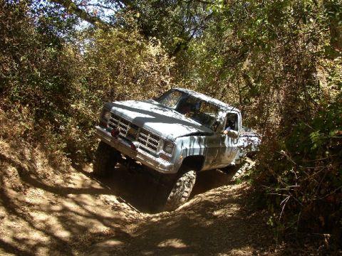 1989 Ford Bronco - This light blue pickup truck is shown off-roading on a dirt trail surrounded by dense foliage.