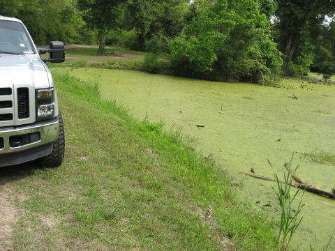 2008 Ford F-250 - Silver 2008 Ford F-250 parked by a pond covered in green algae.