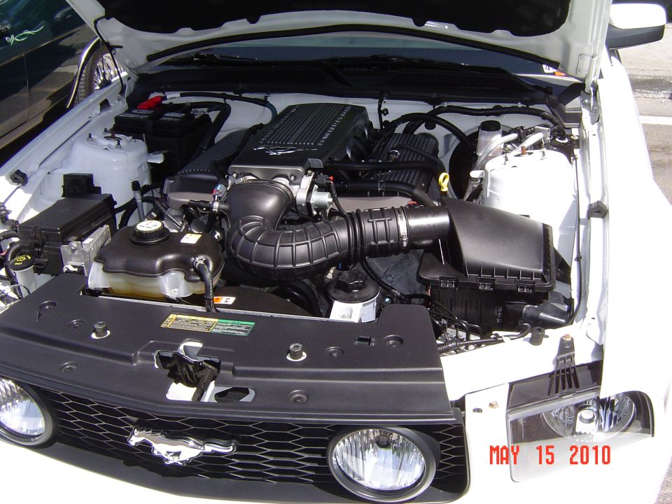 White Ford Mustang engine bay with hood open, showing the engine and front grille with a horse emblem