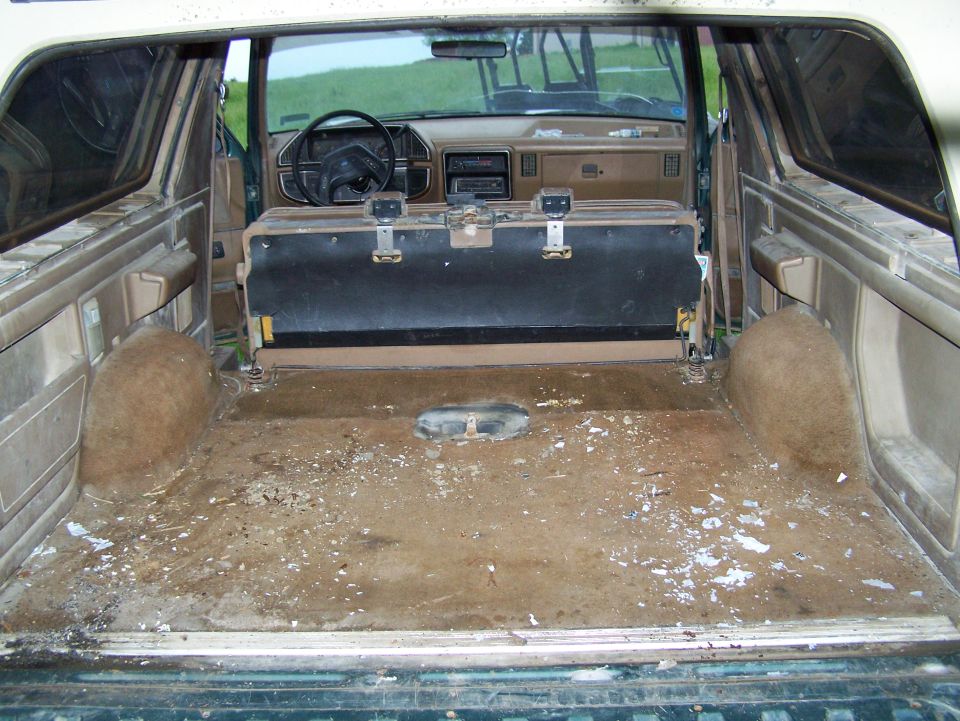 Before carpet removal