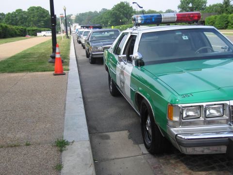 1991 Ford Crown Victoria - A line of police cars, including a 1991 Ford Crown Victoria, are parked along a curb.