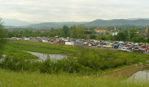 2007 Ford Mustang - A large parking lot is filled with numerous vehicles, set against a backdrop of rolling hills and trees.