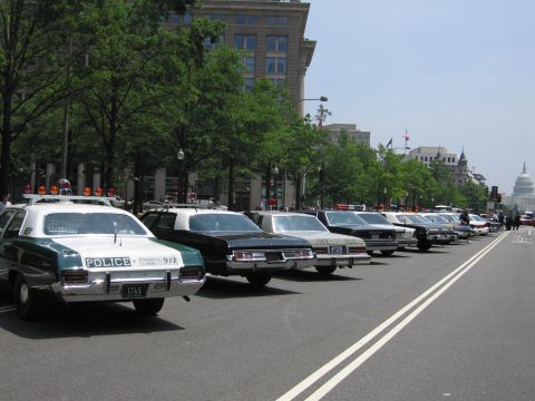 1991 Ford Crown Victoria - A line of police vehicles are parked on a city street, with the Capitol building visible in the distance.