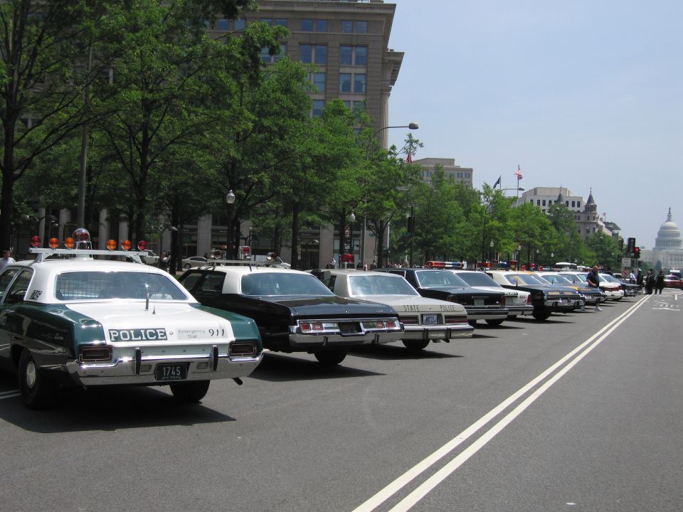 Rear view of a row of classic police cars lined up curbside