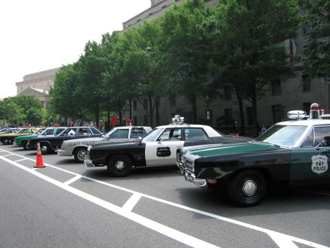 1991 Ford Crown Victoria - A line of vintage police cruisers are parked along a city street with trees and a building in the background.