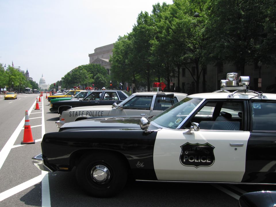 Black-and-white police sedan with door shield leading a parked row