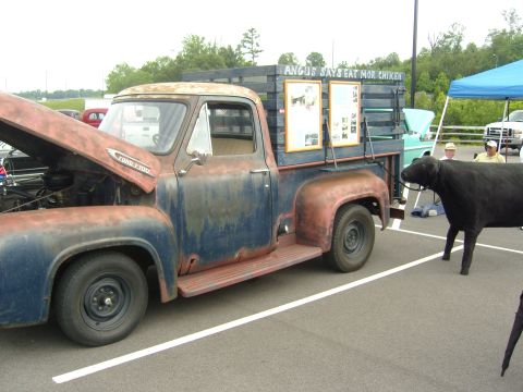 2007 Ford Mustang - A weathered 1953 Ford F-100 truck is parked with its hood up, accompanied by a black cow and a sign that reads 'ANGUS SAYS EAT MOR CHIKEN'.
